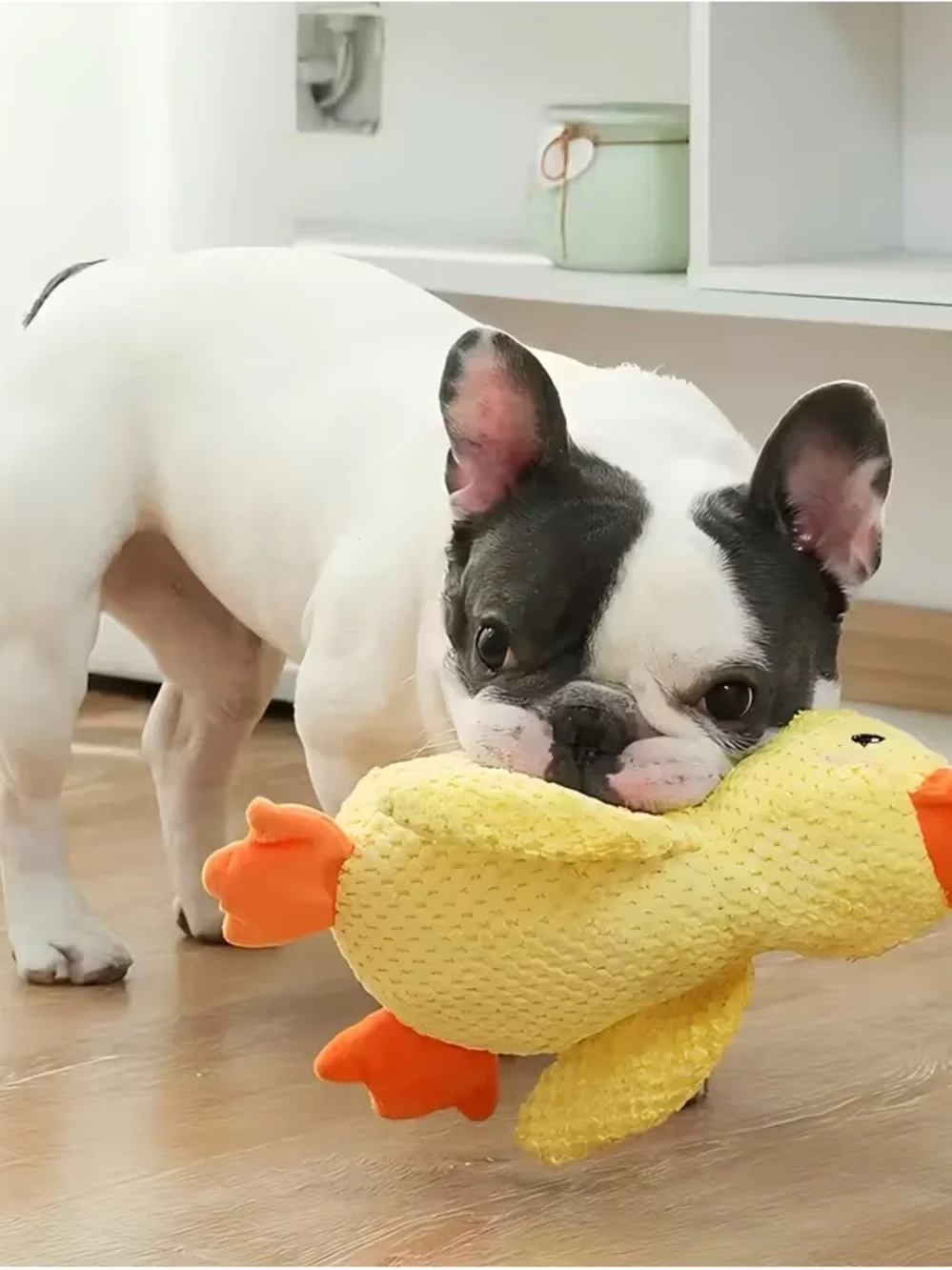 Plush Yellow Duck Dog Toy – Soft Chew Squeaky Plaything